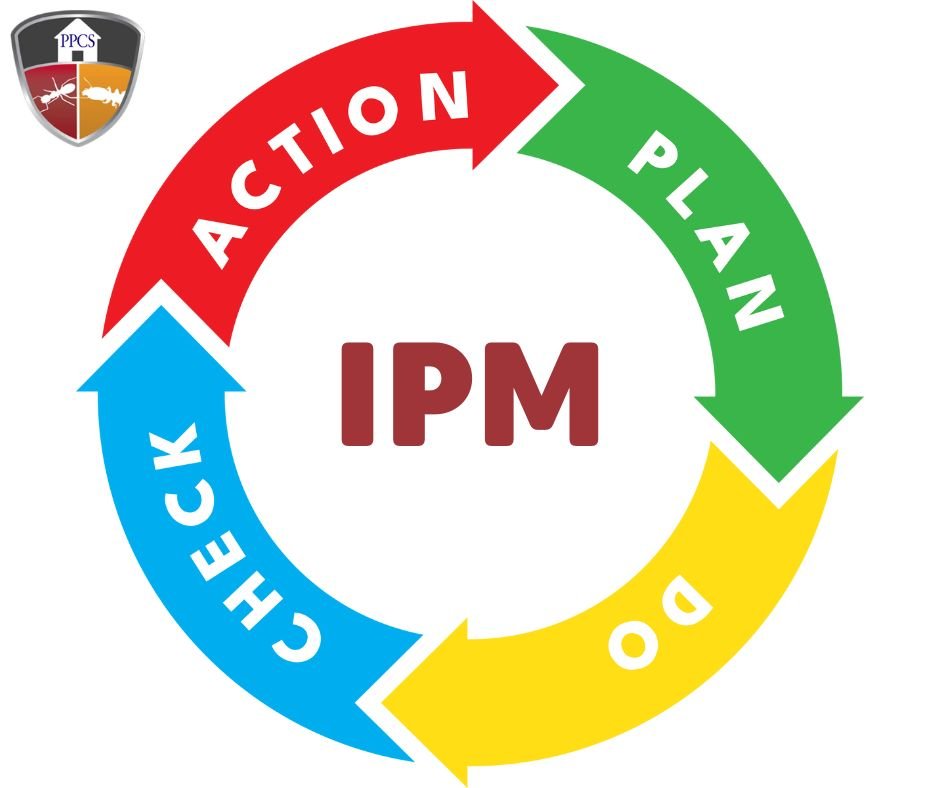 Integrated Pest Management (IPM) in Bangladesh 