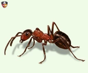Ant Control image