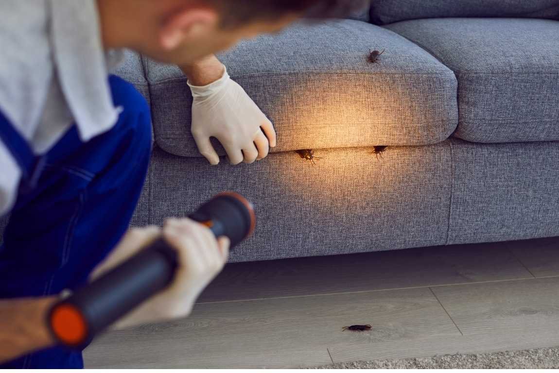 Pest Control image