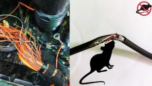 Mouse Control image