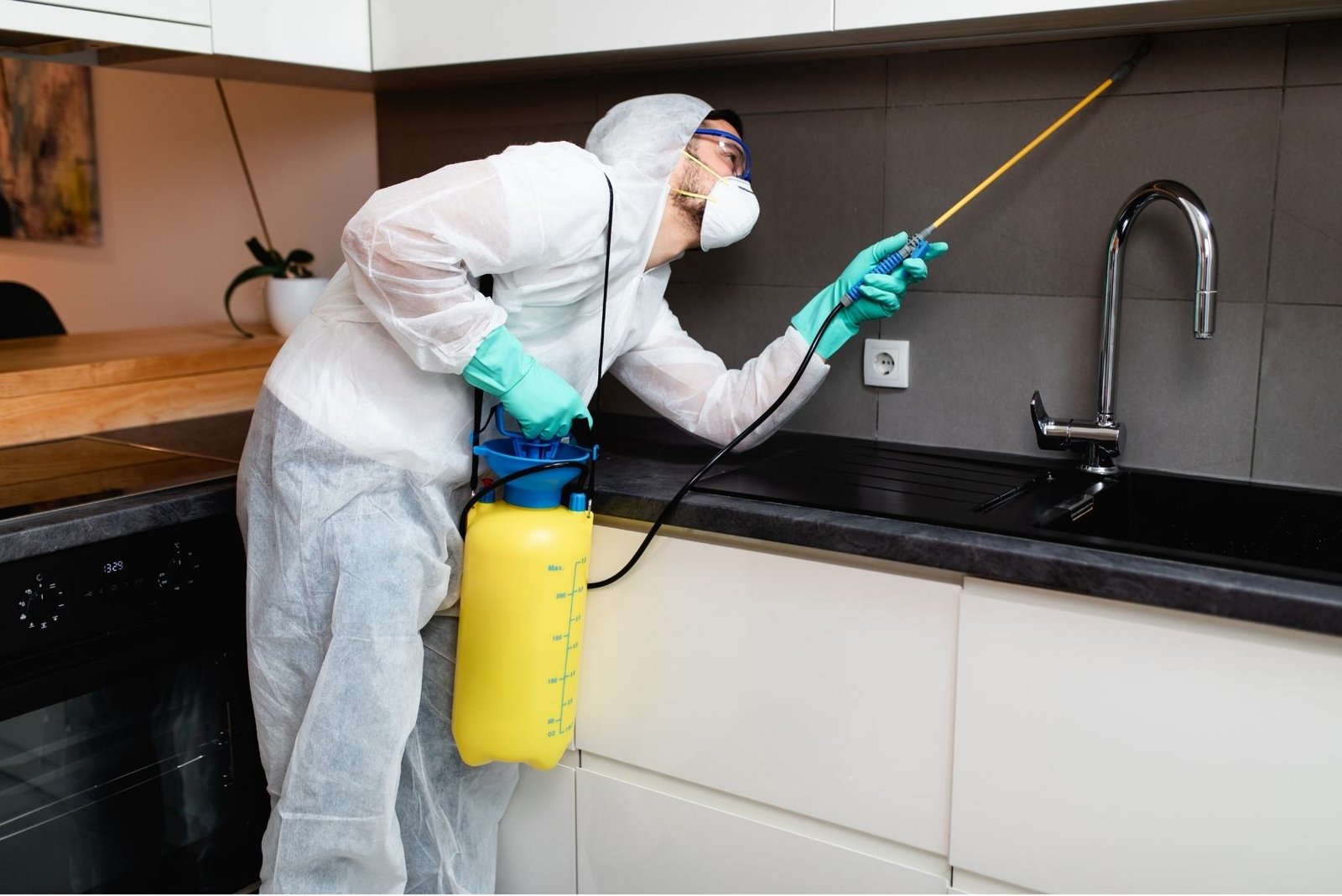 Why Do We Need Pest Control? 