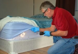 Bed Bug Control image