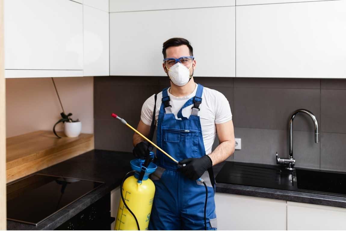 Pest Control image