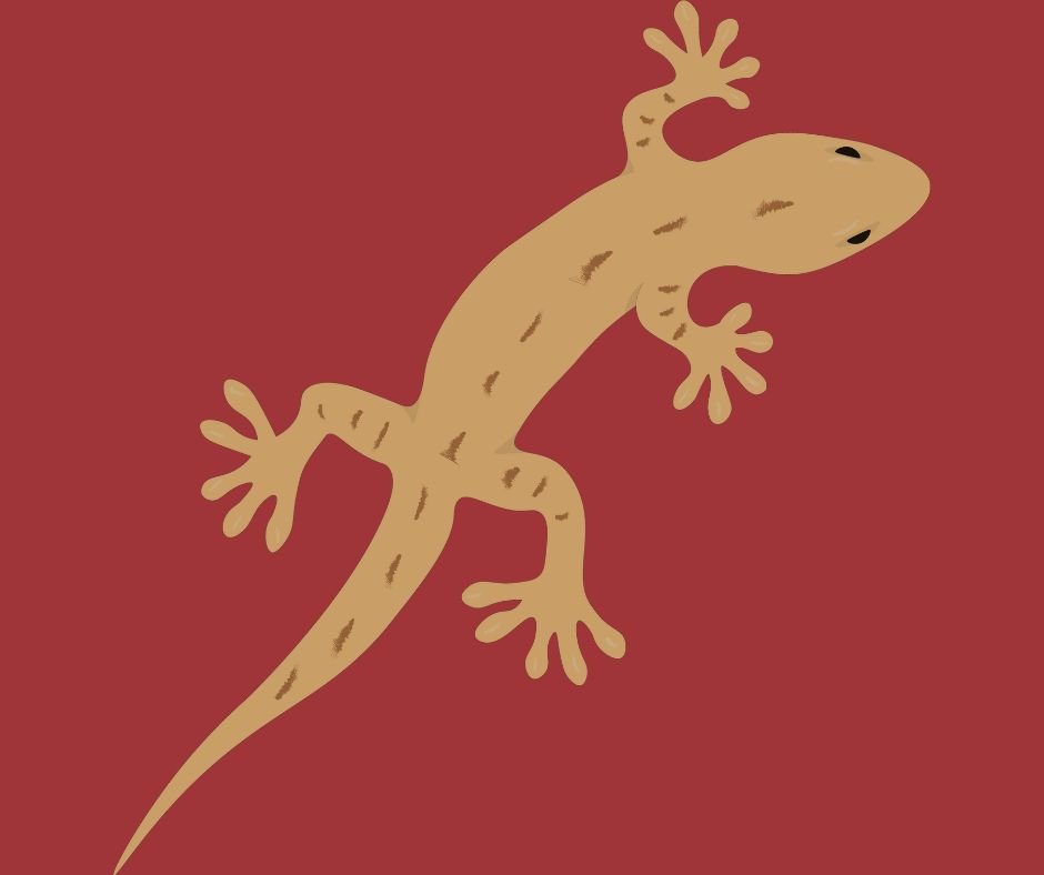 Pest Control image