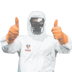 Pest Control image