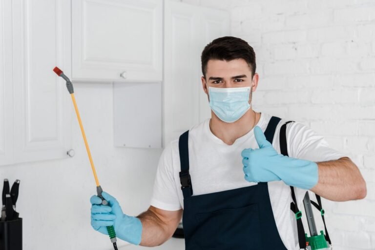 Residential Pest Control image