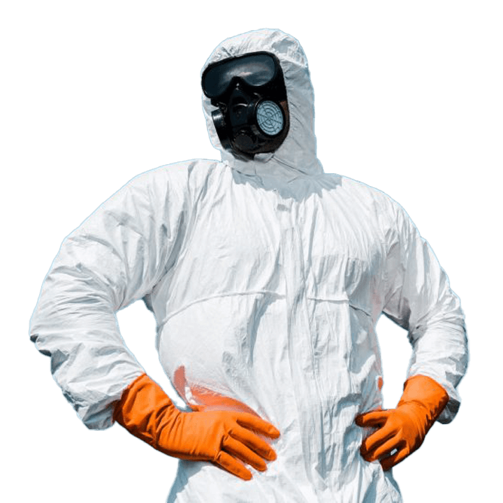 Residential Pest Control image