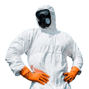 Residential Pest Control image