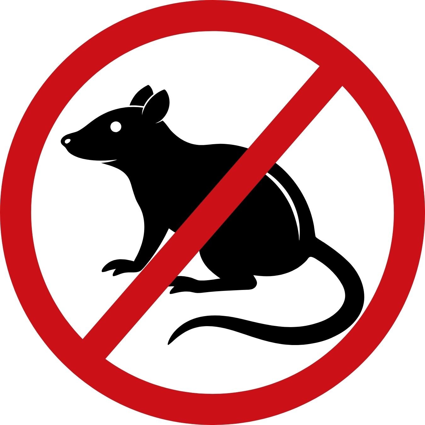 Rodent Control image